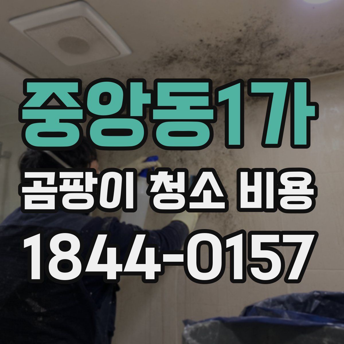 중앙동1가 곰팡이 청소 비용