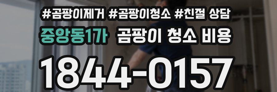 중앙동1가 곰팡이 청소 비용