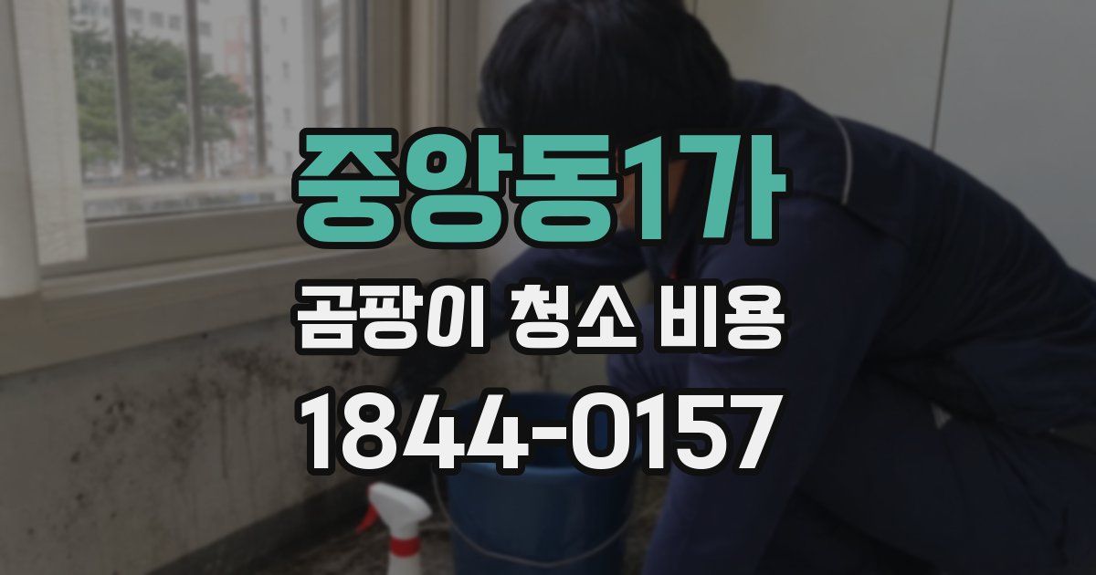 중앙동1가 곰팡이 청소 비용