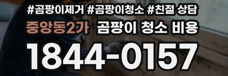 중앙동2가 곰팡이 청소 비용