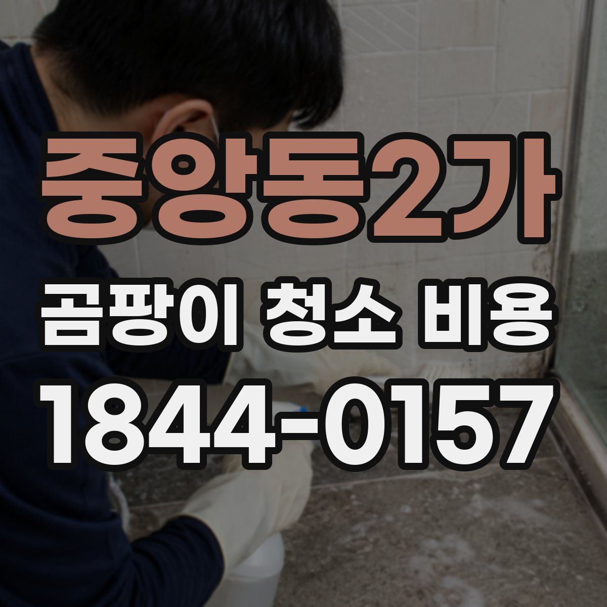 중앙동2가 곰팡이 청소 비용