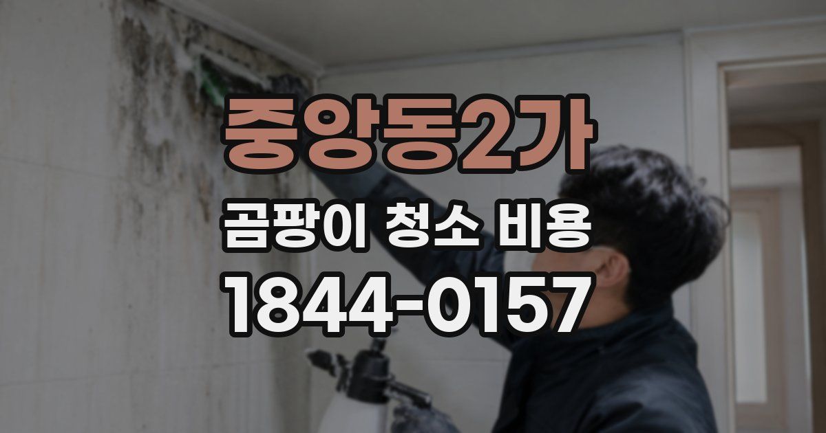 중앙동2가 곰팡이 청소 비용