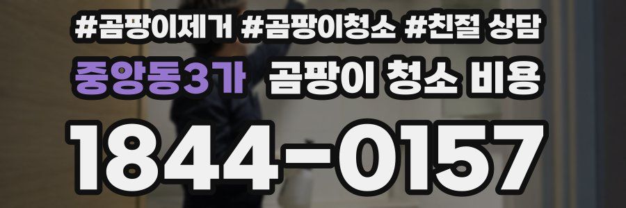 중앙동3가 곰팡이 청소 비용