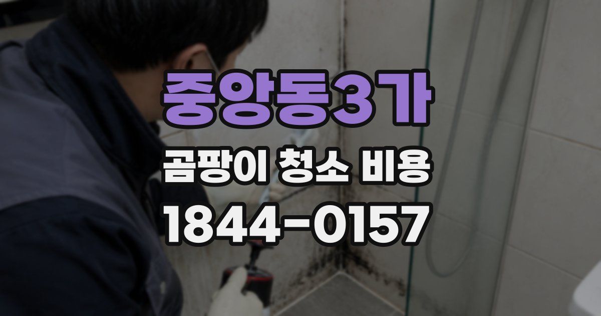 중앙동3가 곰팡이 청소 비용