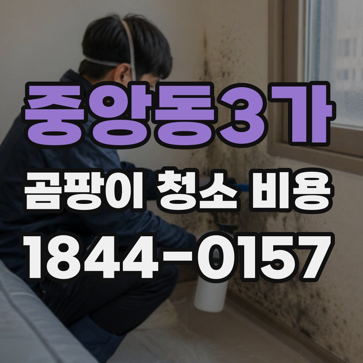 중앙동3가 곰팡이 청소 비용