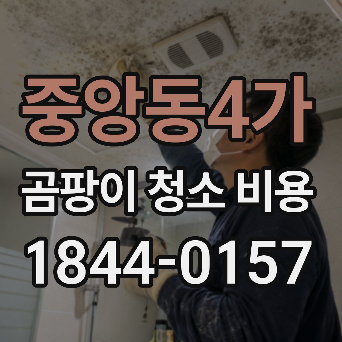 중앙동4가 곰팡이 청소 비용