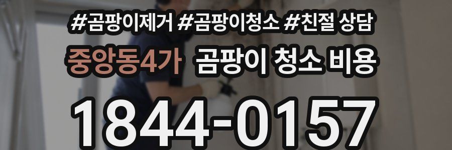 중앙동4가 곰팡이 청소 비용