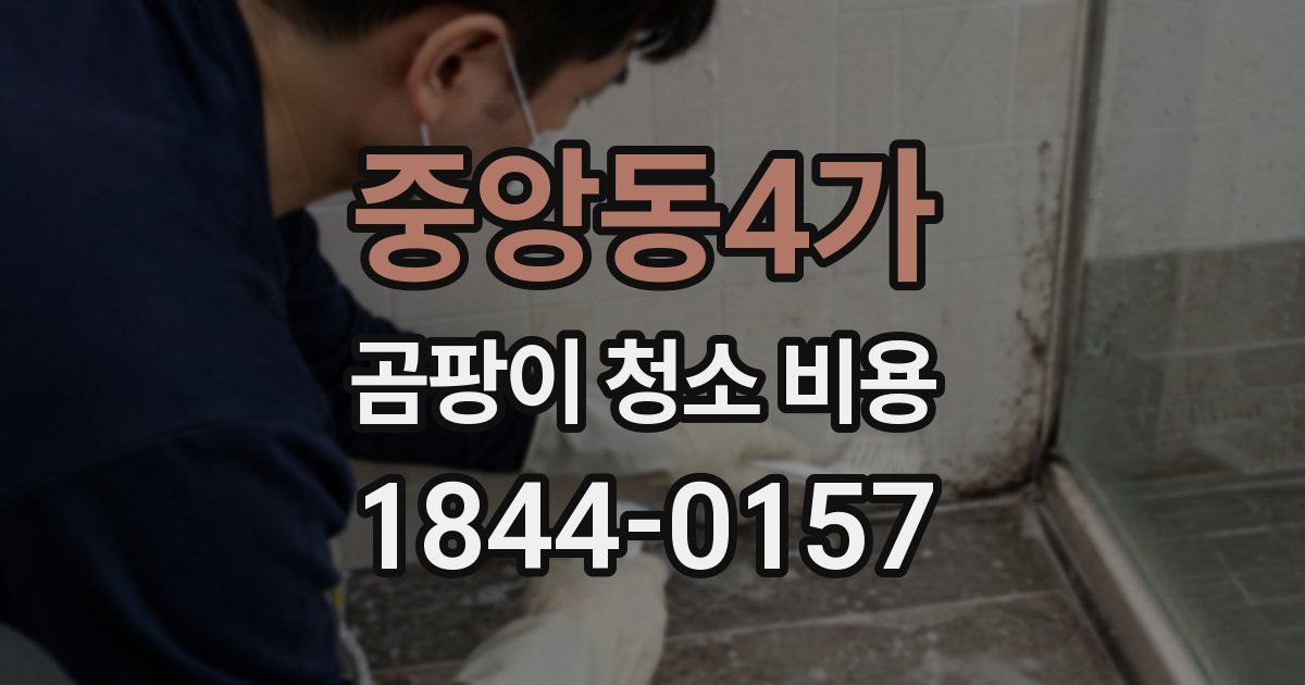중앙동4가 곰팡이 청소 비용