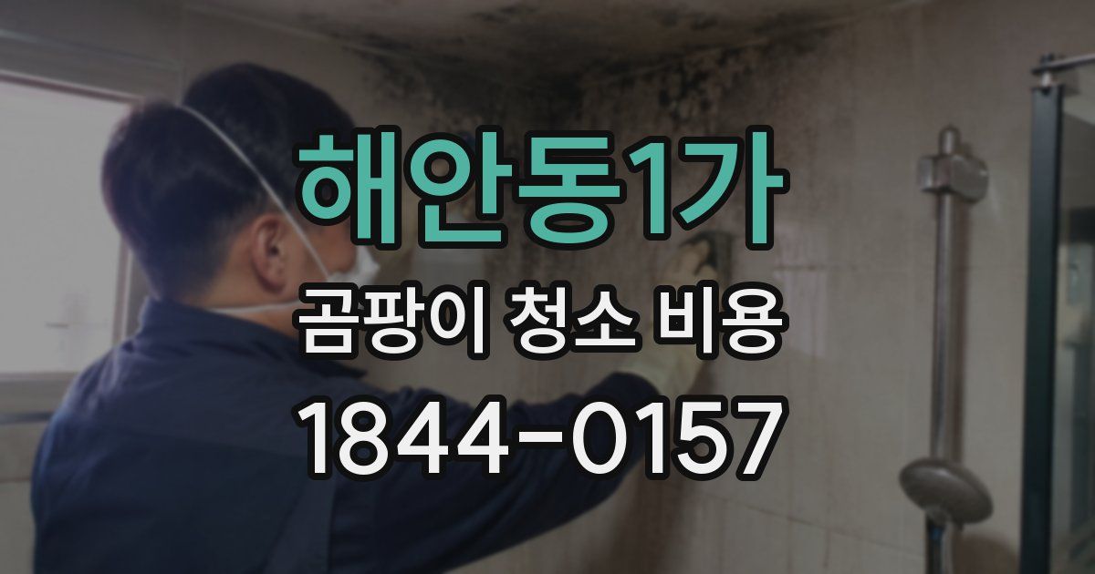 해안동1가 곰팡이 청소 비용