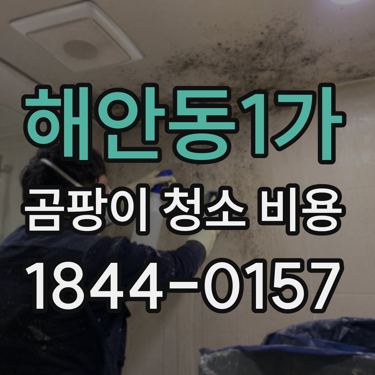 해안동1가 곰팡이 청소 비용
