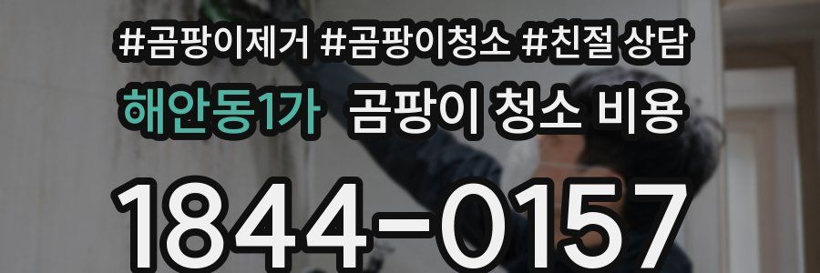 해안동1가 곰팡이 청소 비용
