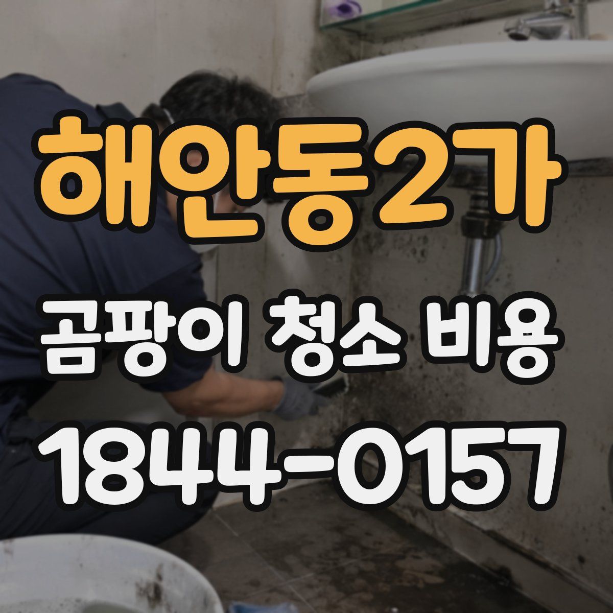 해안동2가 곰팡이 청소 비용