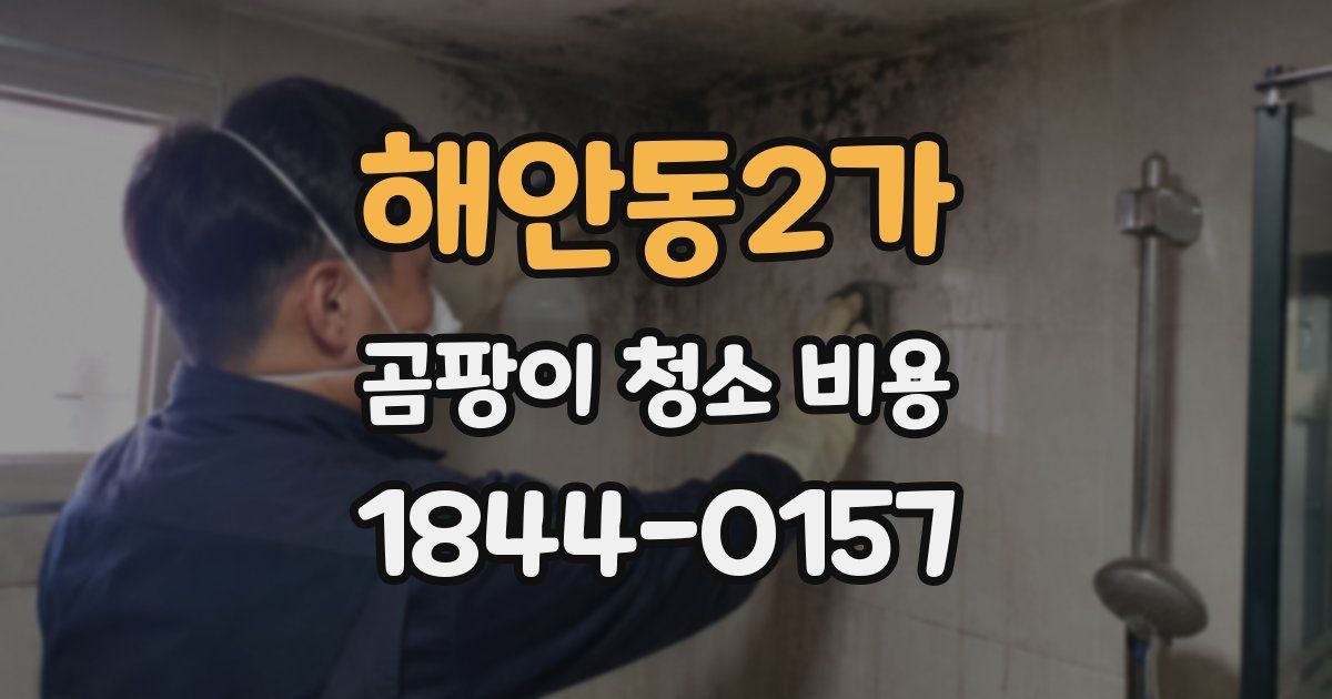 해안동2가 곰팡이 청소 비용