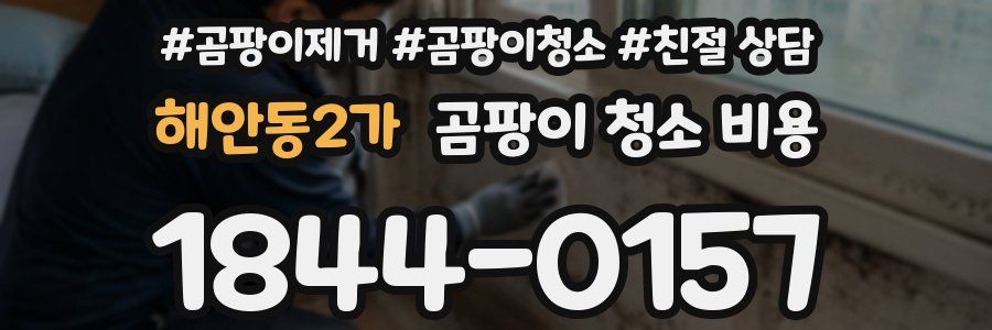 해안동2가 곰팡이 청소 비용