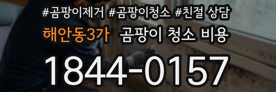 해안동3가 곰팡이 청소 비용