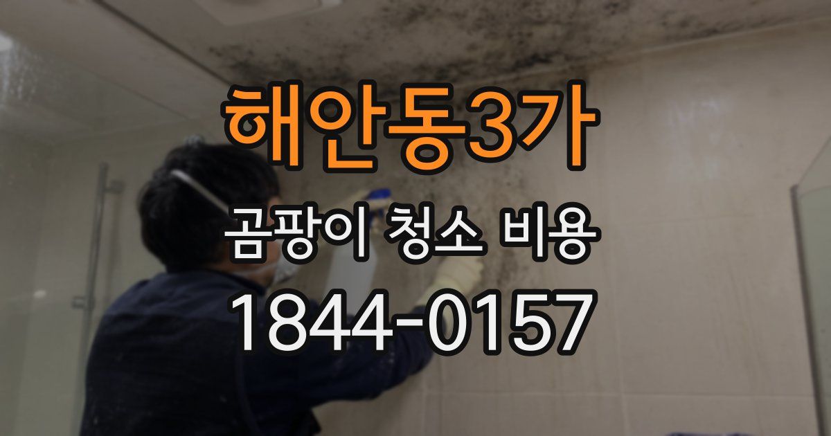 해안동3가 곰팡이 청소 비용