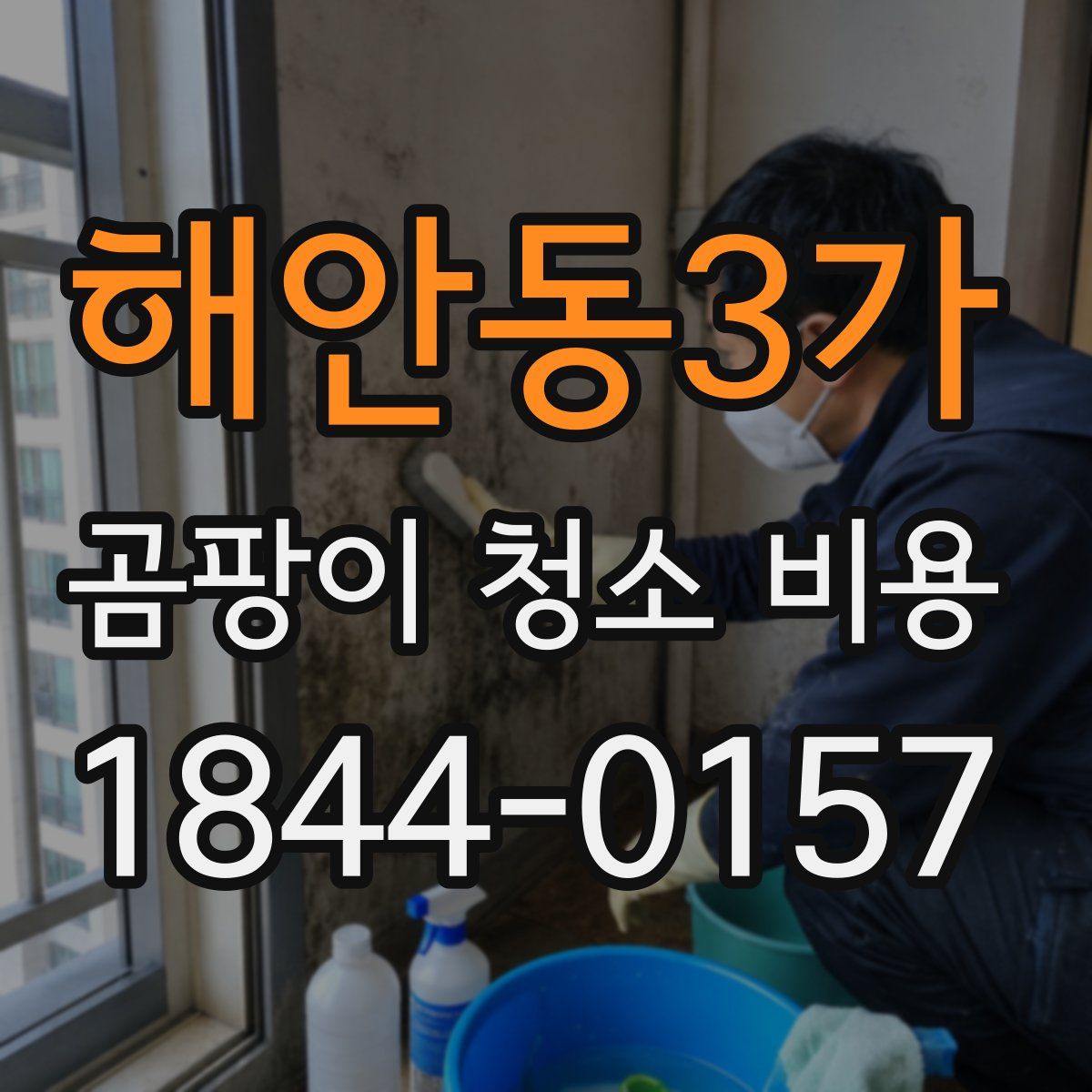 해안동3가 곰팡이 청소 비용