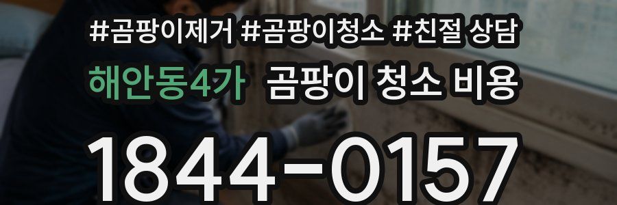 해안동4가 곰팡이 청소 비용
