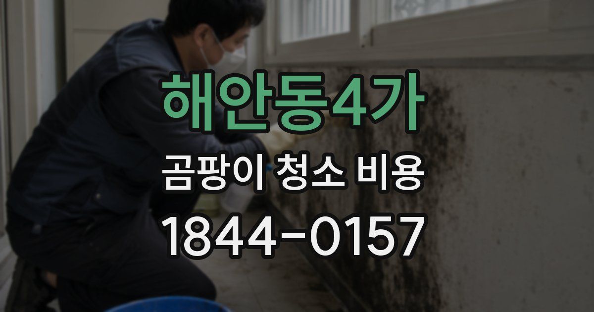 해안동4가 곰팡이 청소 비용