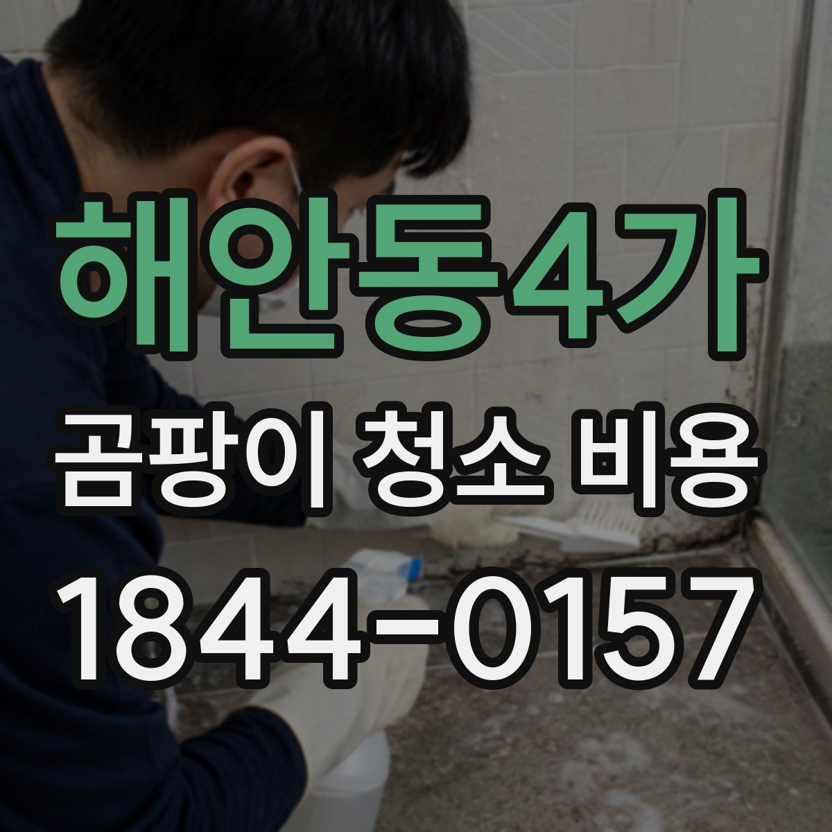 해안동4가 곰팡이 청소 비용