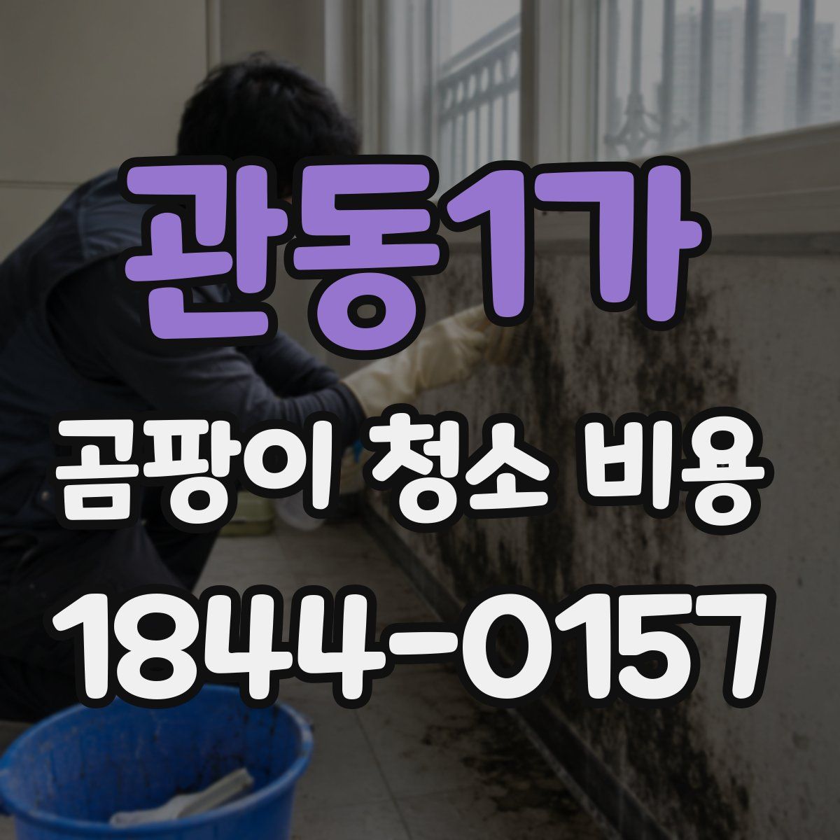 관동1가 곰팡이 청소 비용