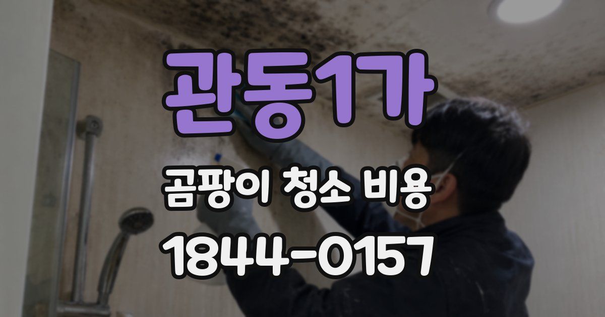 관동1가 곰팡이 청소 비용