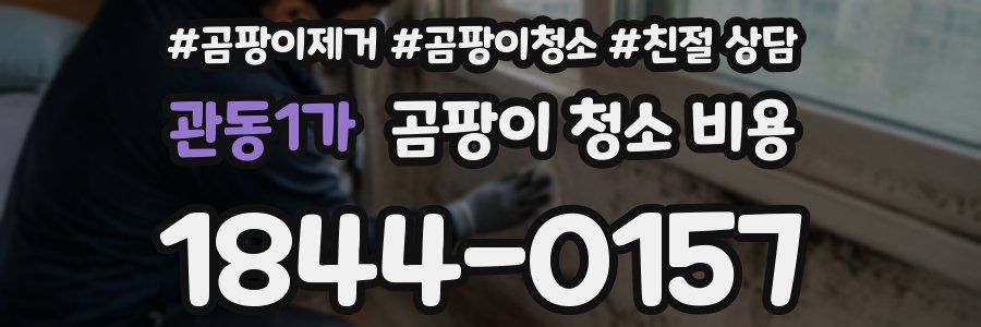관동1가 곰팡이 청소 비용