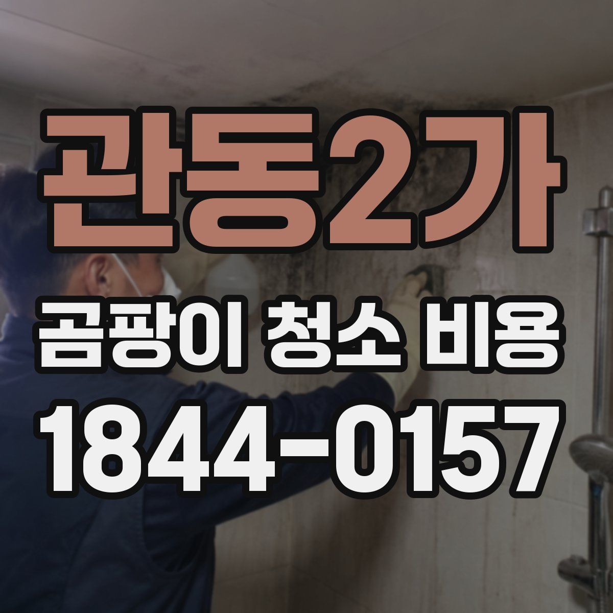 관동2가 곰팡이 청소 비용