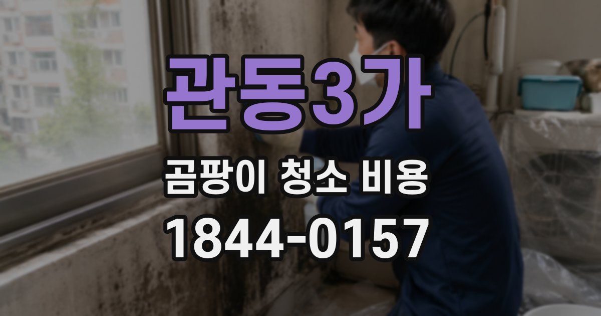 관동3가 곰팡이 청소 비용