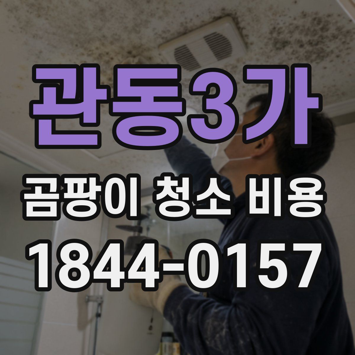 관동3가 곰팡이 청소 비용