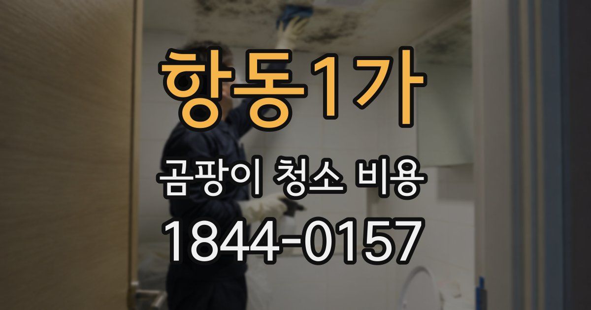 항동1가 곰팡이 청소 비용