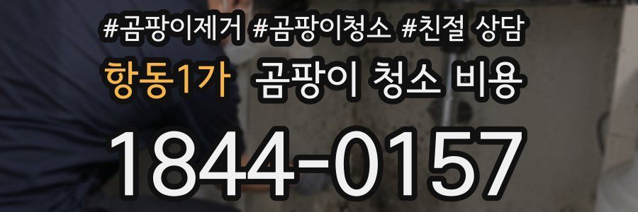 항동1가 곰팡이 청소 비용