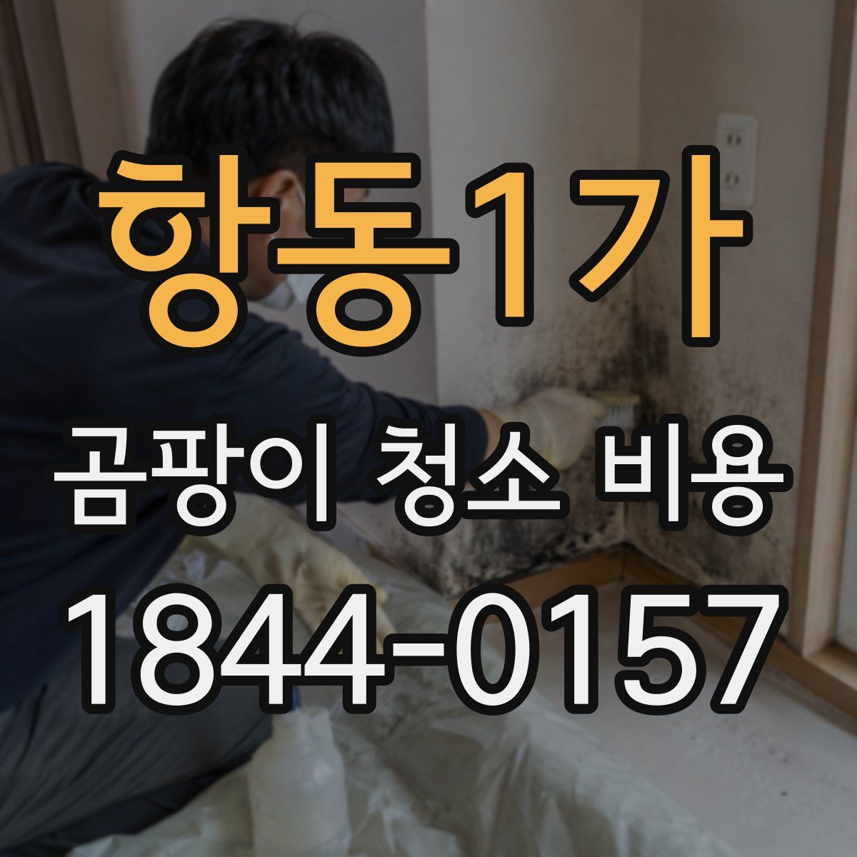 항동1가 곰팡이 청소 비용