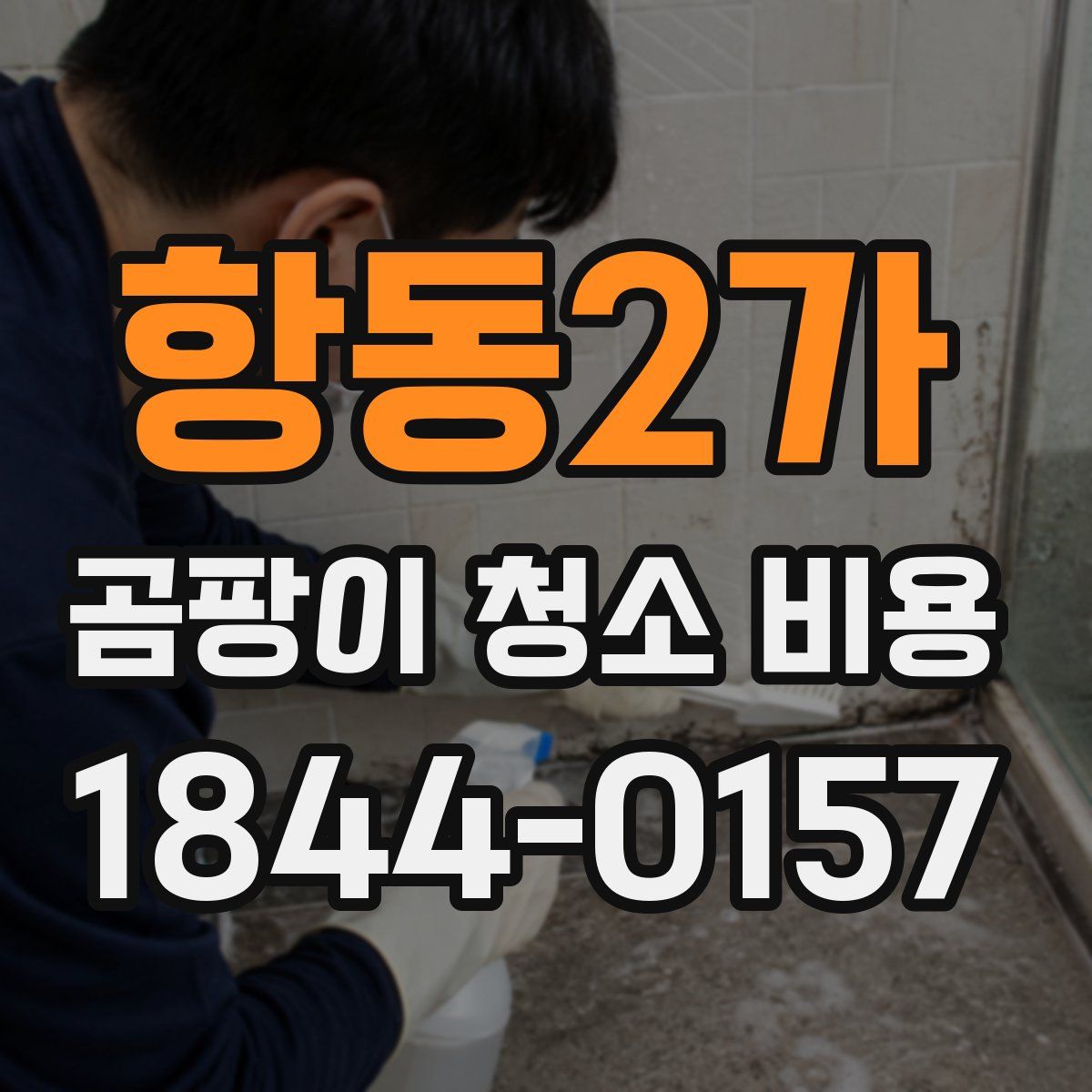 항동2가 곰팡이 청소 비용