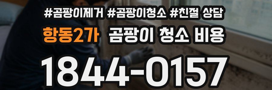 항동2가 곰팡이 청소 비용