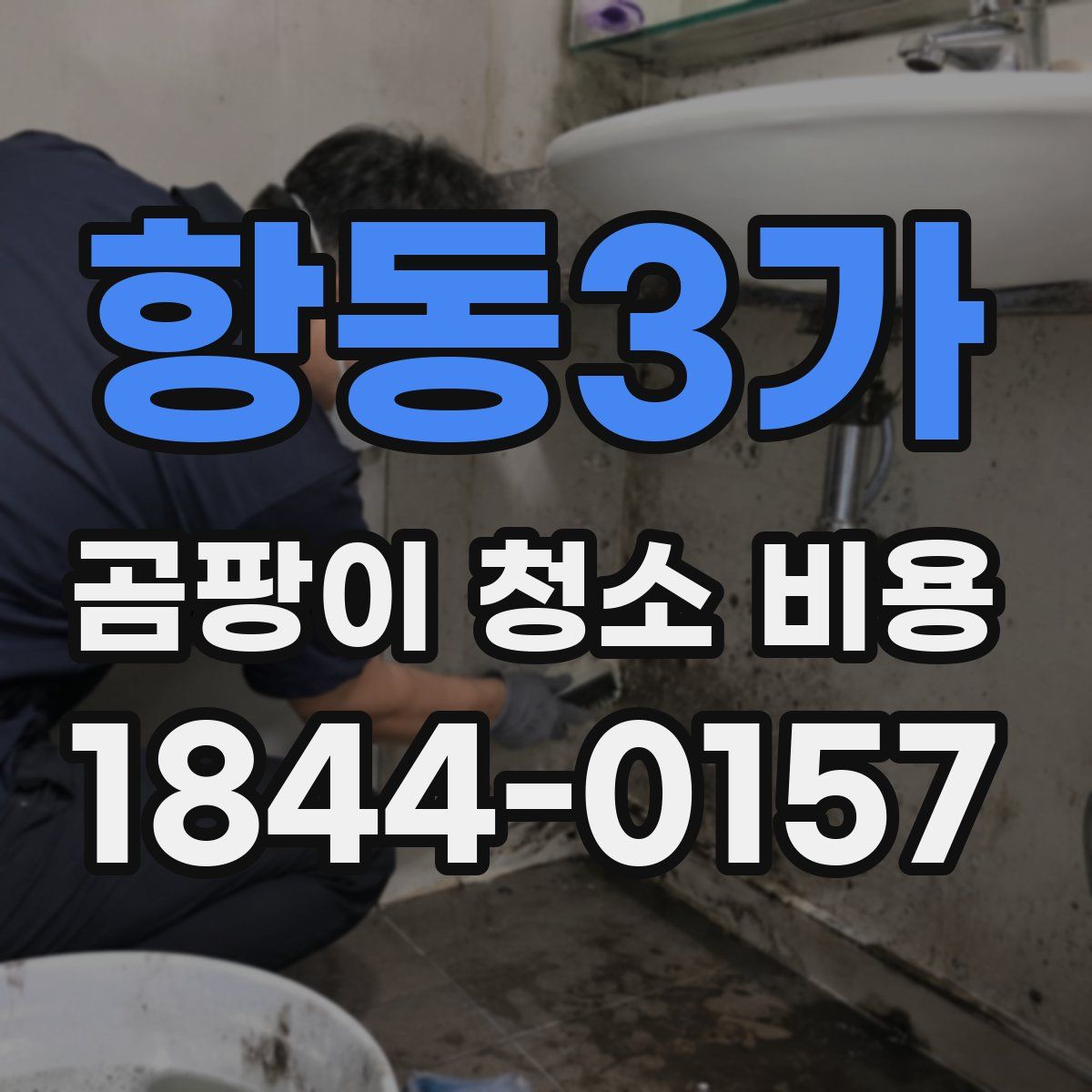 항동3가 곰팡이 청소 비용