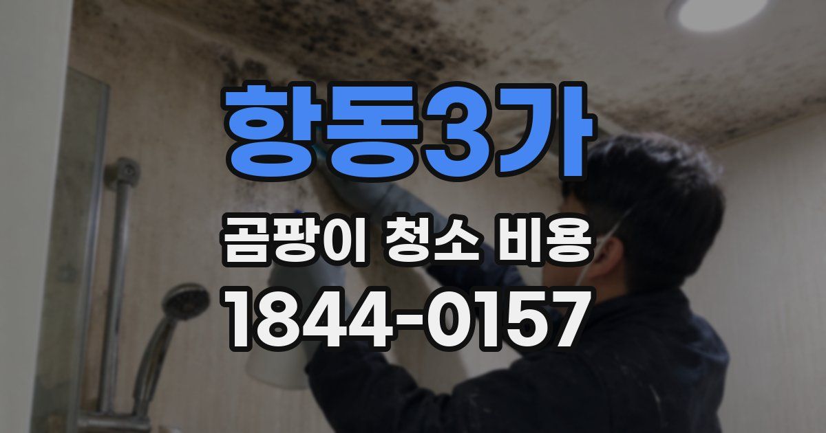 항동3가 곰팡이 청소 비용