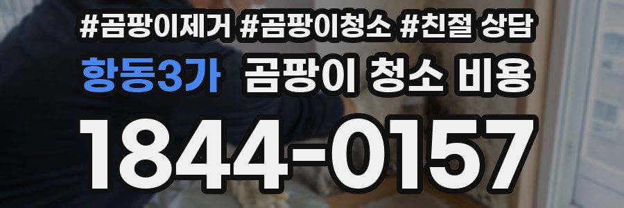 항동3가 곰팡이 청소 비용