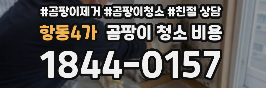 항동4가 곰팡이 청소 비용