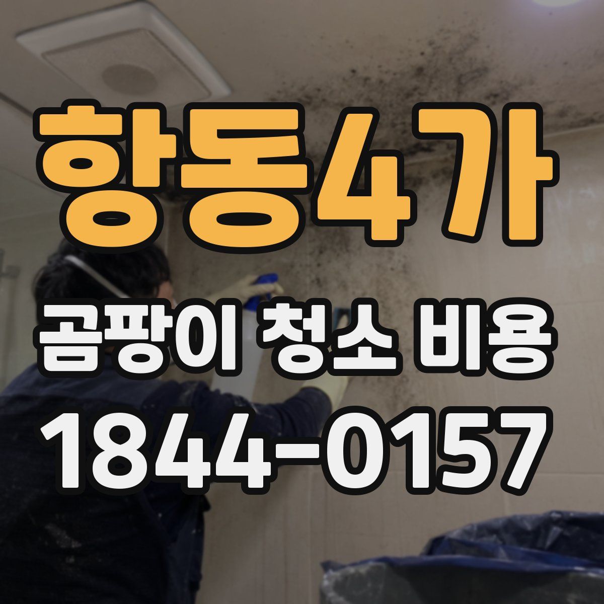 항동4가 곰팡이 청소 비용