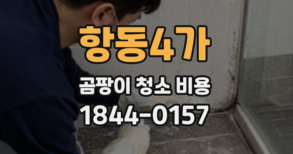 항동4가 곰팡이 청소 비용