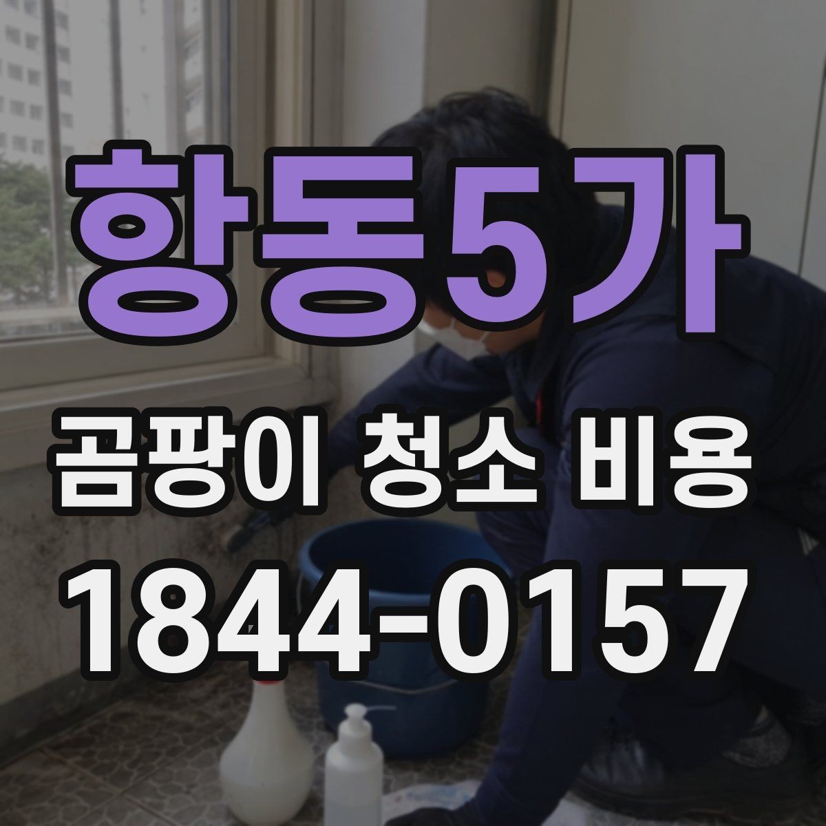 항동5가 곰팡이 청소 비용 비교할 때 알아둘 점