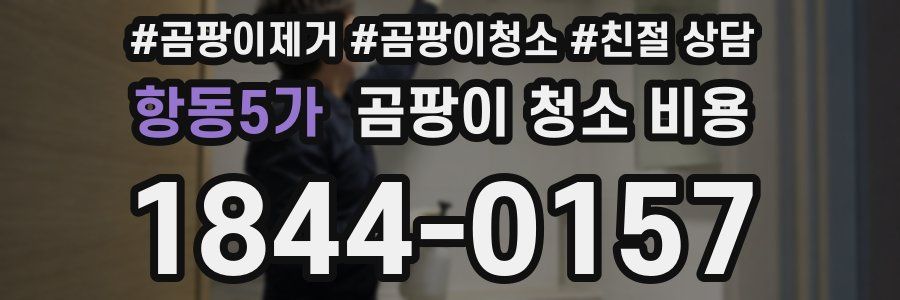 항동5가 곰팡이 청소 비용