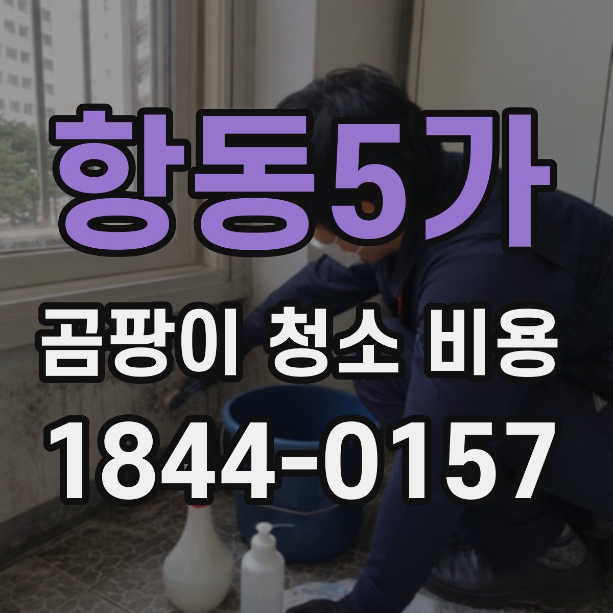 항동5가 곰팡이 청소 비용