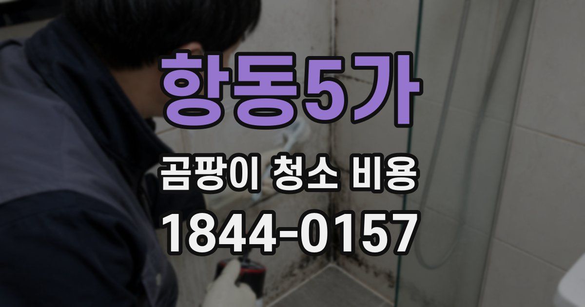 항동5가 곰팡이 청소 비용