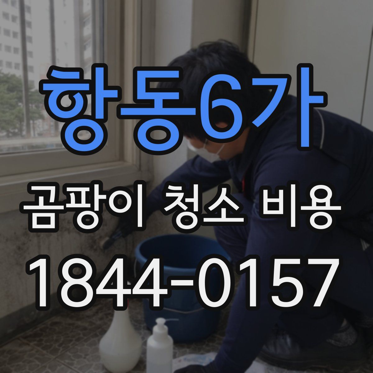 항동6가 곰팡이 청소 비용
