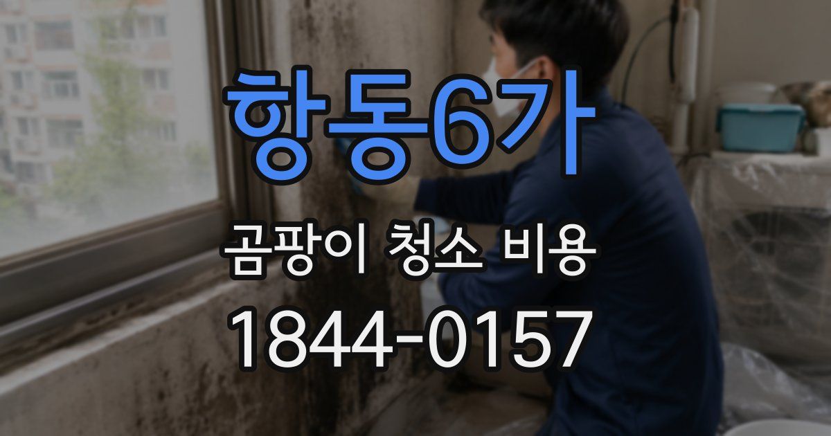 항동6가 곰팡이 청소 비용