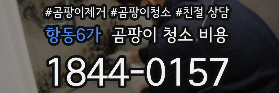 항동6가 곰팡이 청소 비용