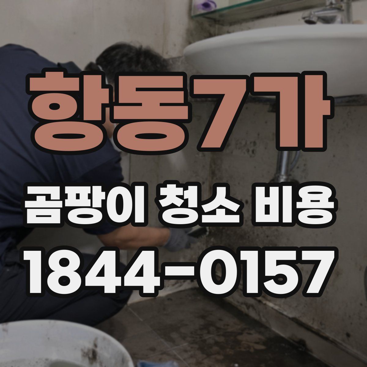 항동7가 곰팡이 청소 비용