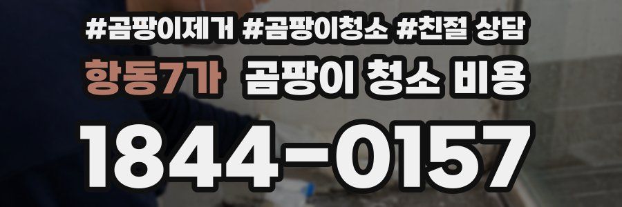 항동7가 곰팡이 청소 비용